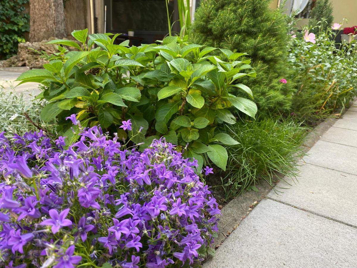 Margareta Garden Boutique Rooms Erlau Exterior foto